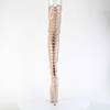 Pleaser - ADORE3850 Platform Overknee Boots - Skin colour Product image